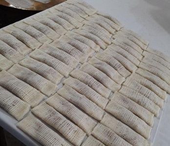 رشته خشکار اقتصادی